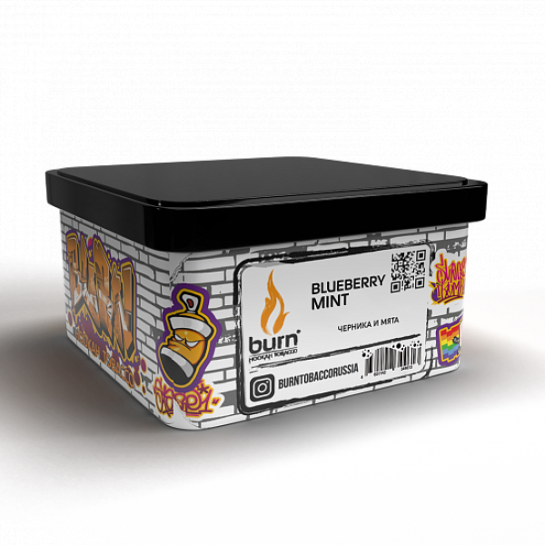 Табак BURN BLUEBERRY MINT 200 грамм в Новосибирске
