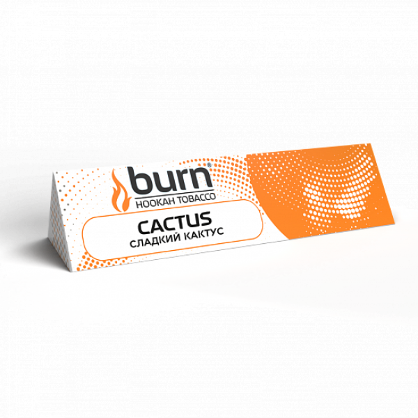 Табак BURN CACTUS 25 грамм в Новосибирске