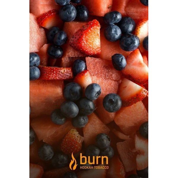 Табак Burn Berried Treasure 100 грамм в Новосибирске