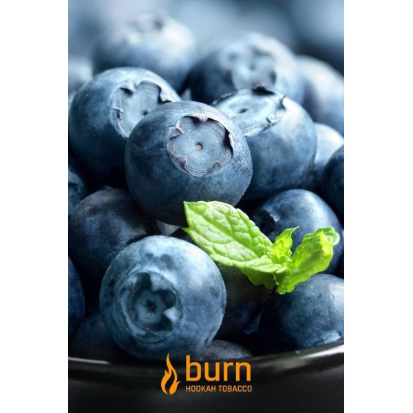 Табак Burn Blueberry Mint 100 грамм в Новосибирске