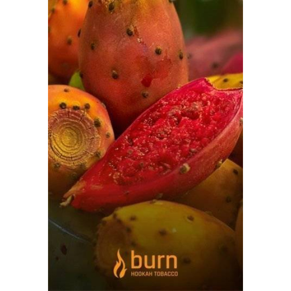Табак Burn Cactus 100 грамм в Новосибирске