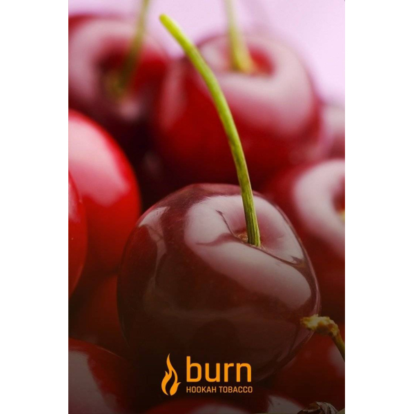 Табак Burn Candy Cherry 100 грамм в Новосибирске
