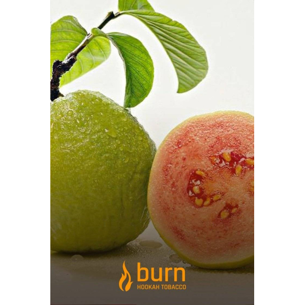 Табак Burn Guava 100 грамм в Новосибирске