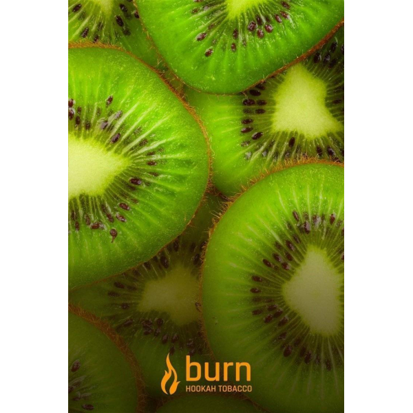 Табак Burn Kiwi 100 грамм в Новосибирске