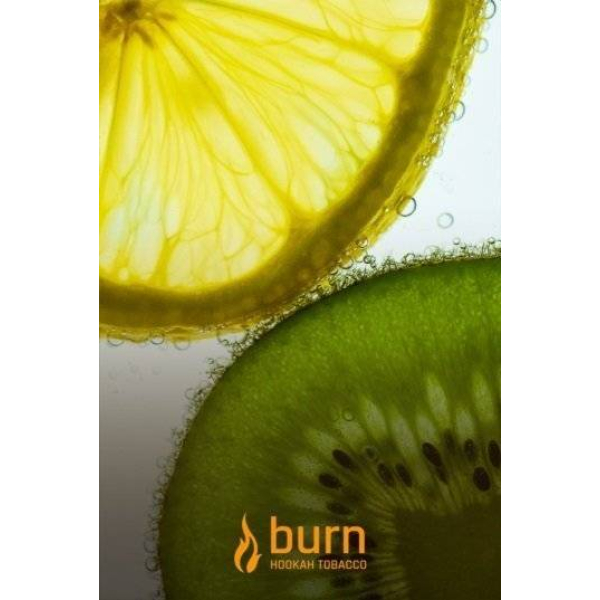Табак Burn Kiwi Lemon 100 грамм в Новосибирске
