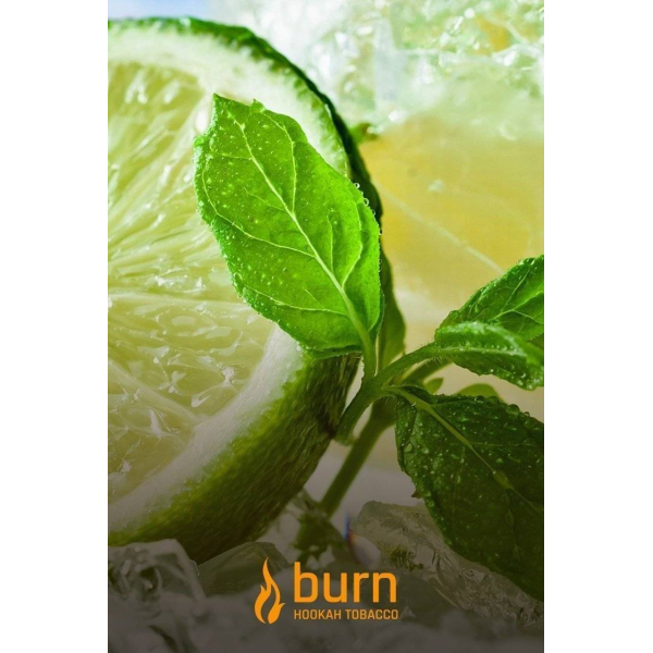 Табак Burn Lemon Mint 100 грамм в Новосибирске