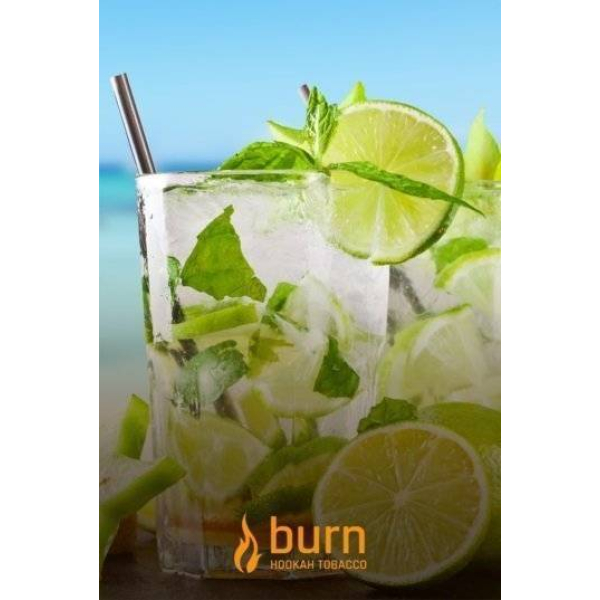 Табак Burn Mojito 100 грамм в Новосибирске