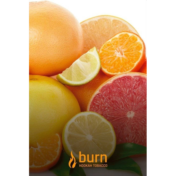 Табак Burn SundaySun 100 грамм в Новосибирске