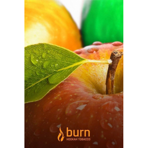 Табак Burn Three Apples 100 грамм в Новосибирске
