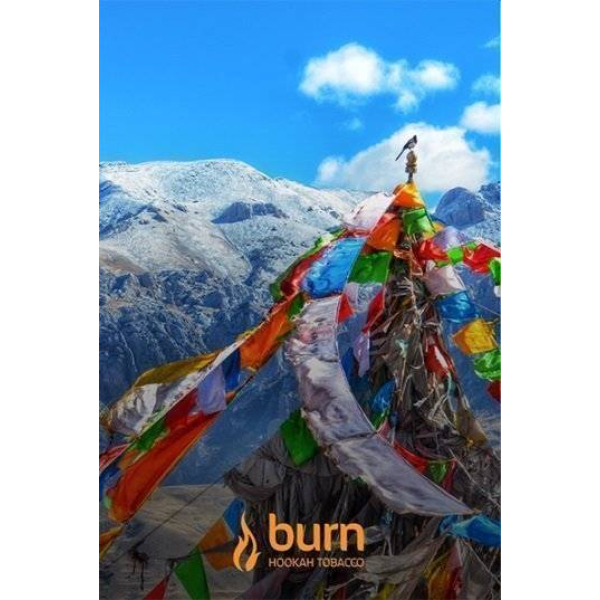 Табак Burn Tibet 100 грамм в Новосибирске