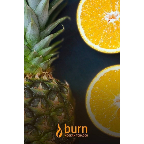 Табак Burn White Night 100 грамм в Новосибирске