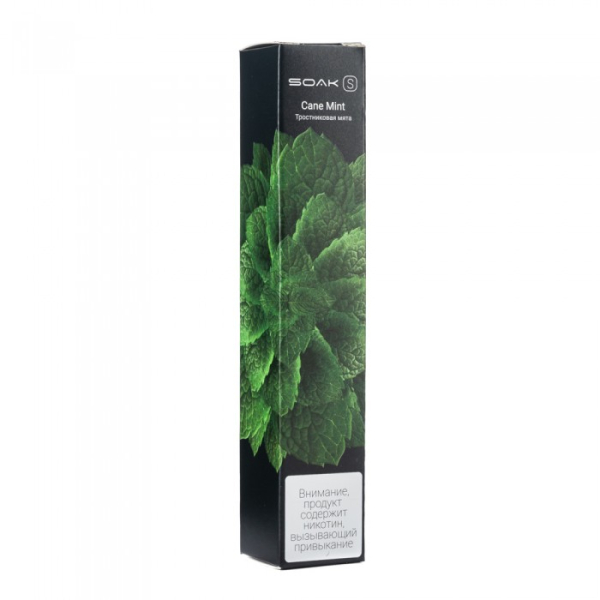 SOAK S Cane Mint (Тростниковая мята), 2500 тяг в Новосибирске