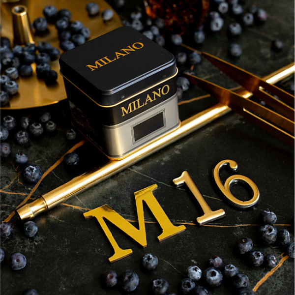 Табак MILANO GOLD М16 BILBERRY 100 гр в Новосибирске