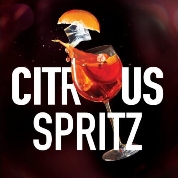 Табак Must Have Citrus Spritz 25 грамм в Новосибирске