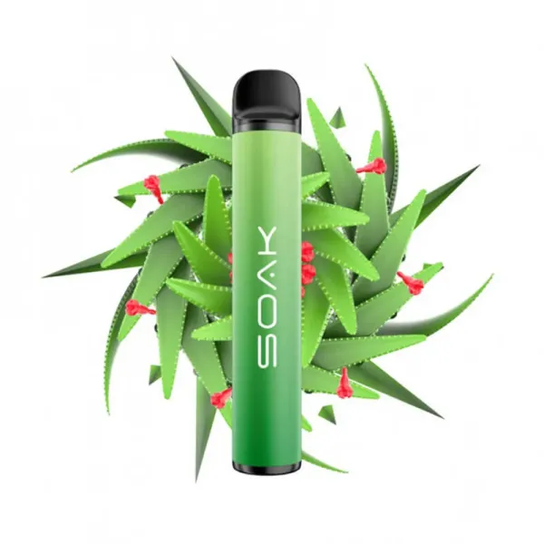 SOAK X Aloe Vera (Алое Вера), 1500 тяг в Новосибирске