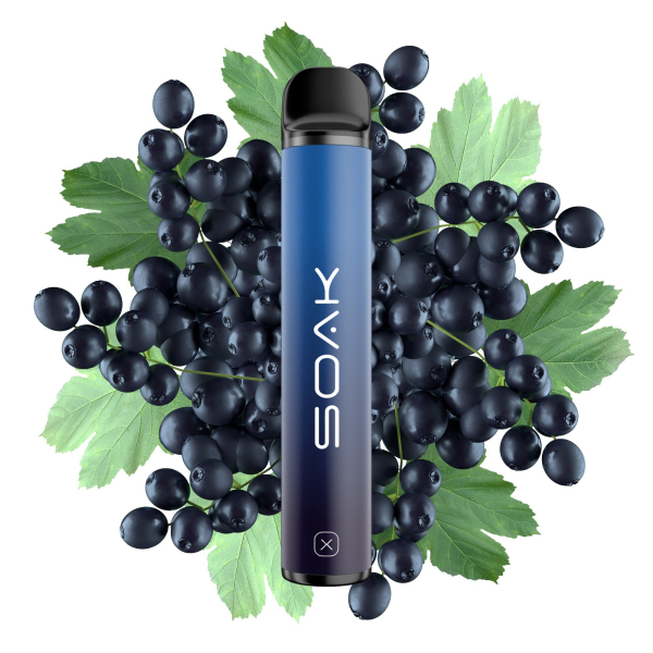 SOAK X Forest Blackcurrant (Лесная черная смородина), 1500 тяг в Новосибирске