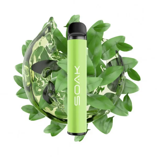 SOAK X Green Tea (Зеленый чай), 1500 тяг в Новосибирске