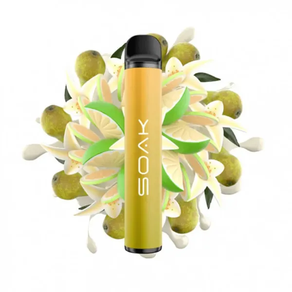 SOAK X Vanilla Pear (Ванильная груша с лаймом), 1500 тяг в Новосибирске