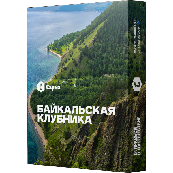 Табак Сарма Байкальская Клубника 25 гр в Новосибирске