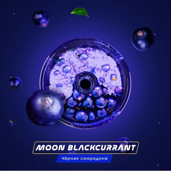 Паста Space Smoke BASIC Moon  Blackcurrant (Черная  смородина) 125 гр в Новосибирске