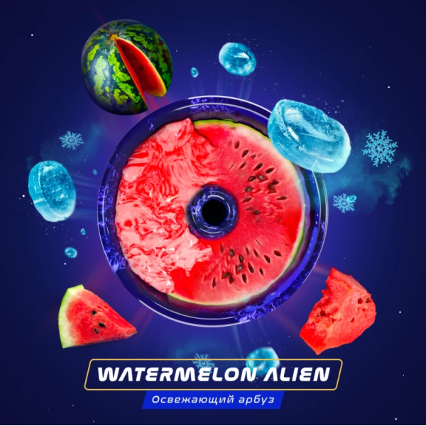 Паста Space Smoke BASIC Watermelon  Alien (Арбуз с  холодком) 30 гр в Новосибирске
