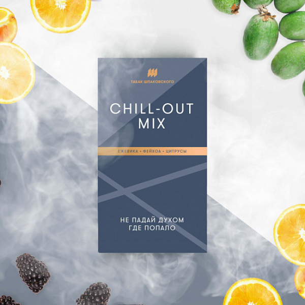Табак Шпаковского Chill Out (Ежевика Фейхоа Цитрусы) 40 грамм в Новосибирске