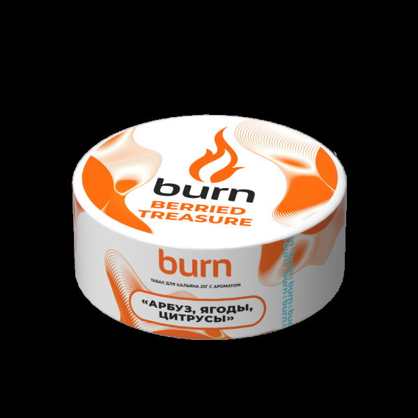 Табак Burn Berried Treasure  25 грамм в Новосибирске