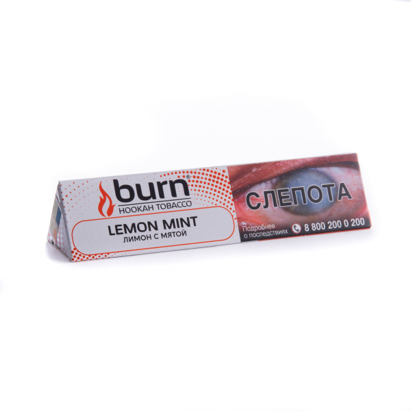 Табак Burn Lemon Mint  25 грамм в Новосибирске