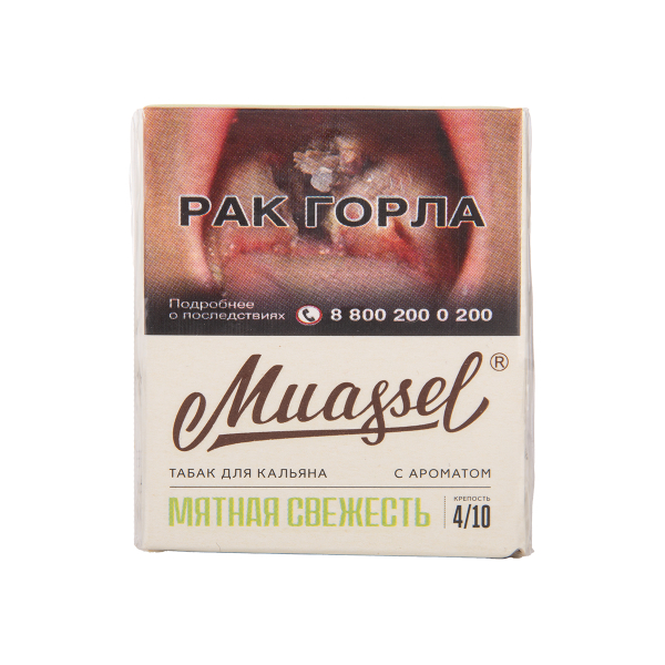 Табак Muassel Medium Мятная Свежесть 40 грамм в Новосибирске